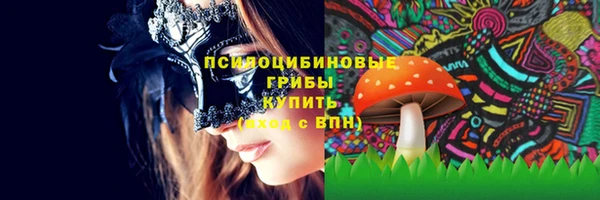 тгк Костерёво