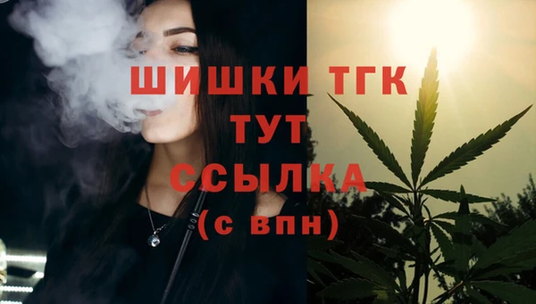 тгк Костерёво