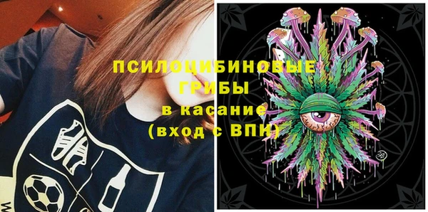 тгк Костерёво