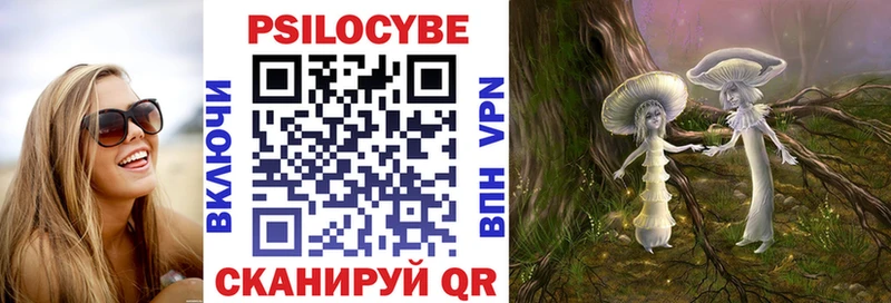 Купить где  Данков  Псилоцибиновые грибы MAGIC MUSHROOMS 